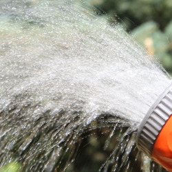 Wasser abstellen / Gartenbegehung